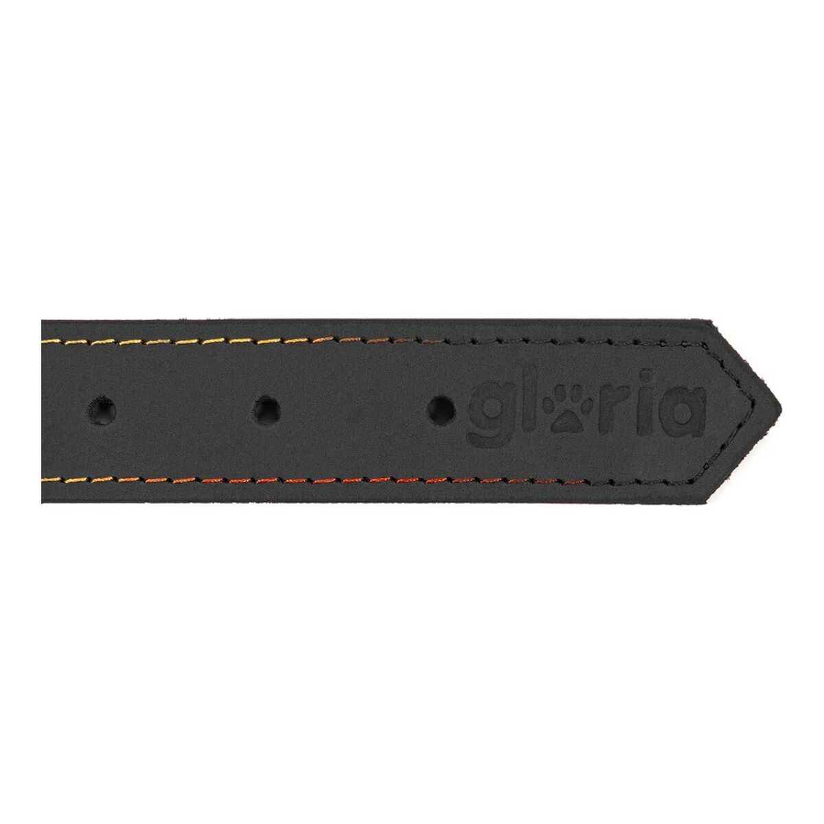 Collar para Perro Gloria Oasis Negro (70 x 3 cm)